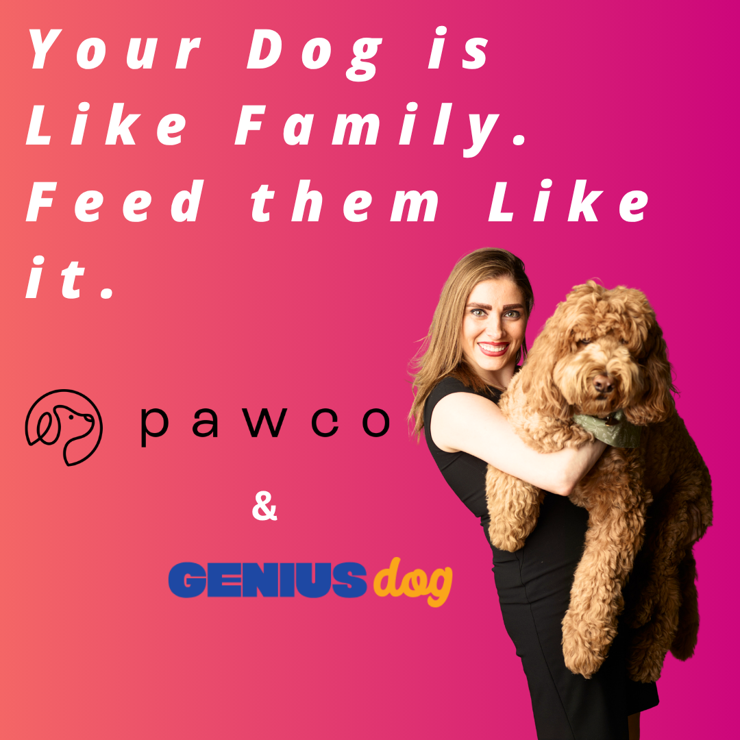PawCo - Your Dog is Like Family. Feed them Like it.