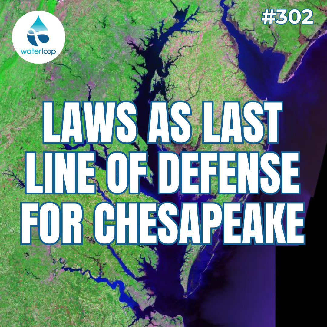 Laws As Last Line Of Defense For Chesapeake Bay