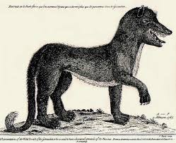 THE BEAST OF GEVAUDAN