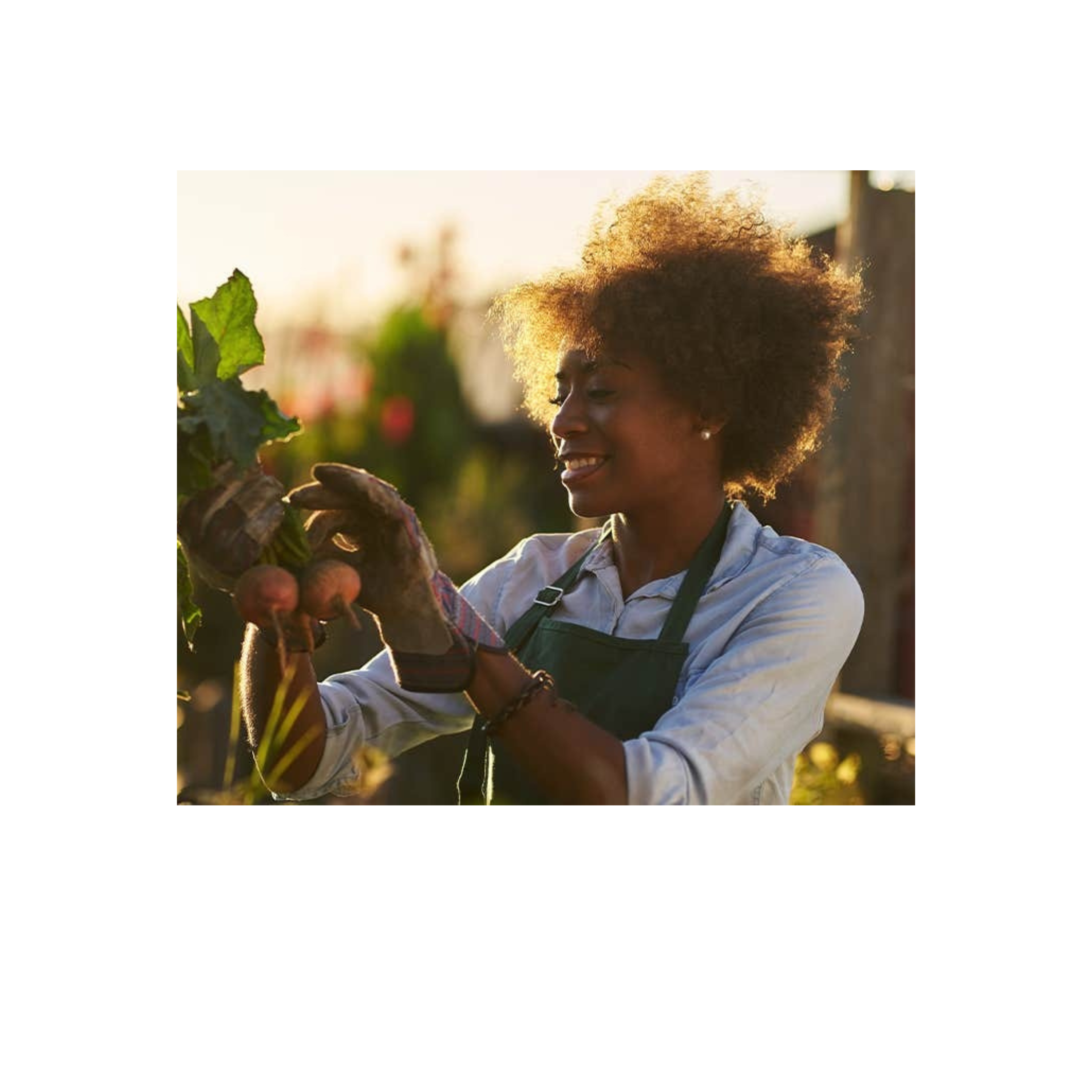 Rewrite Your Story:  Practical Steps to Reclaim Your Passion After the Empty Nest