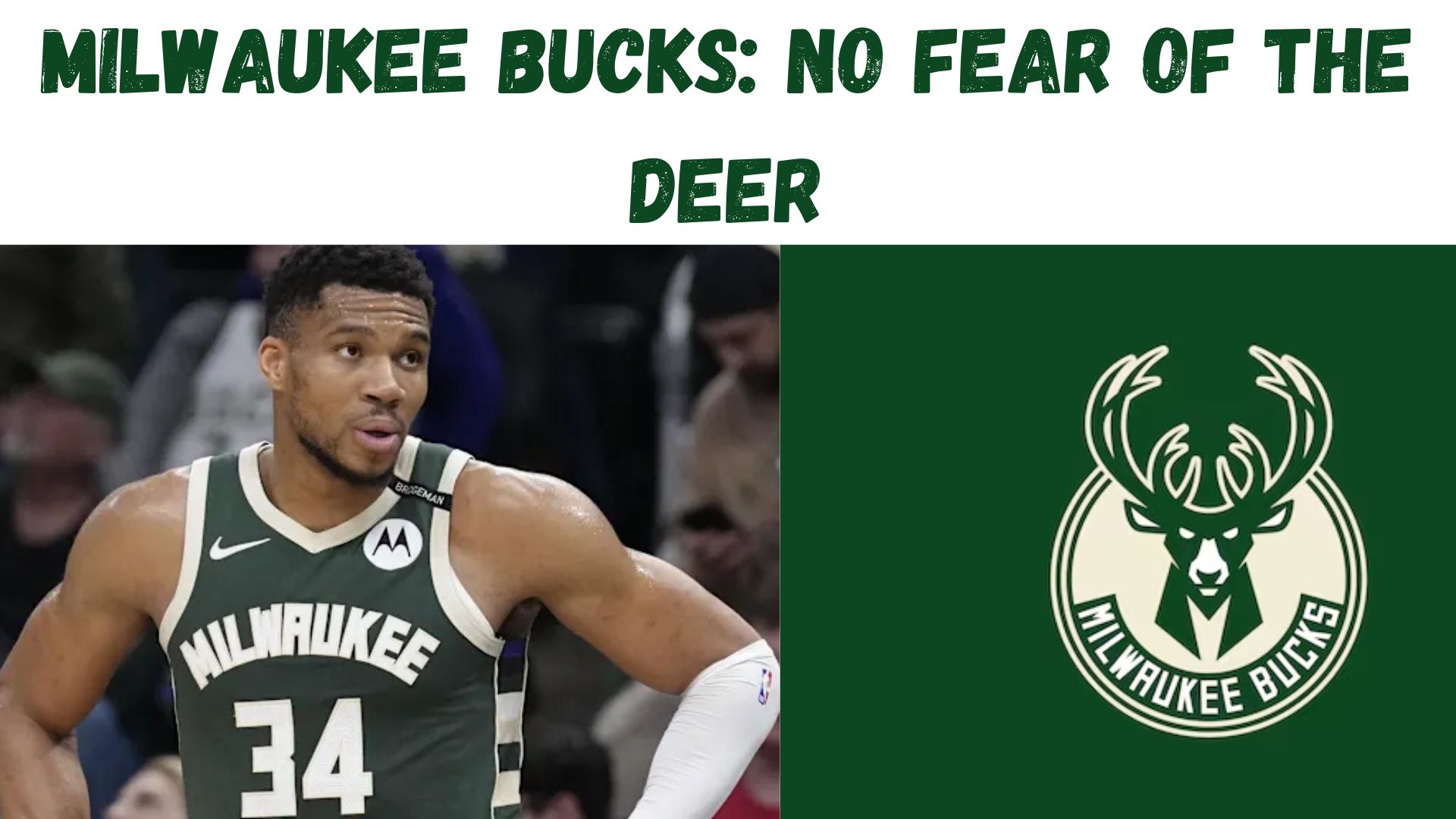 "Milwaukee Bucks: No Fear of The Deer"
