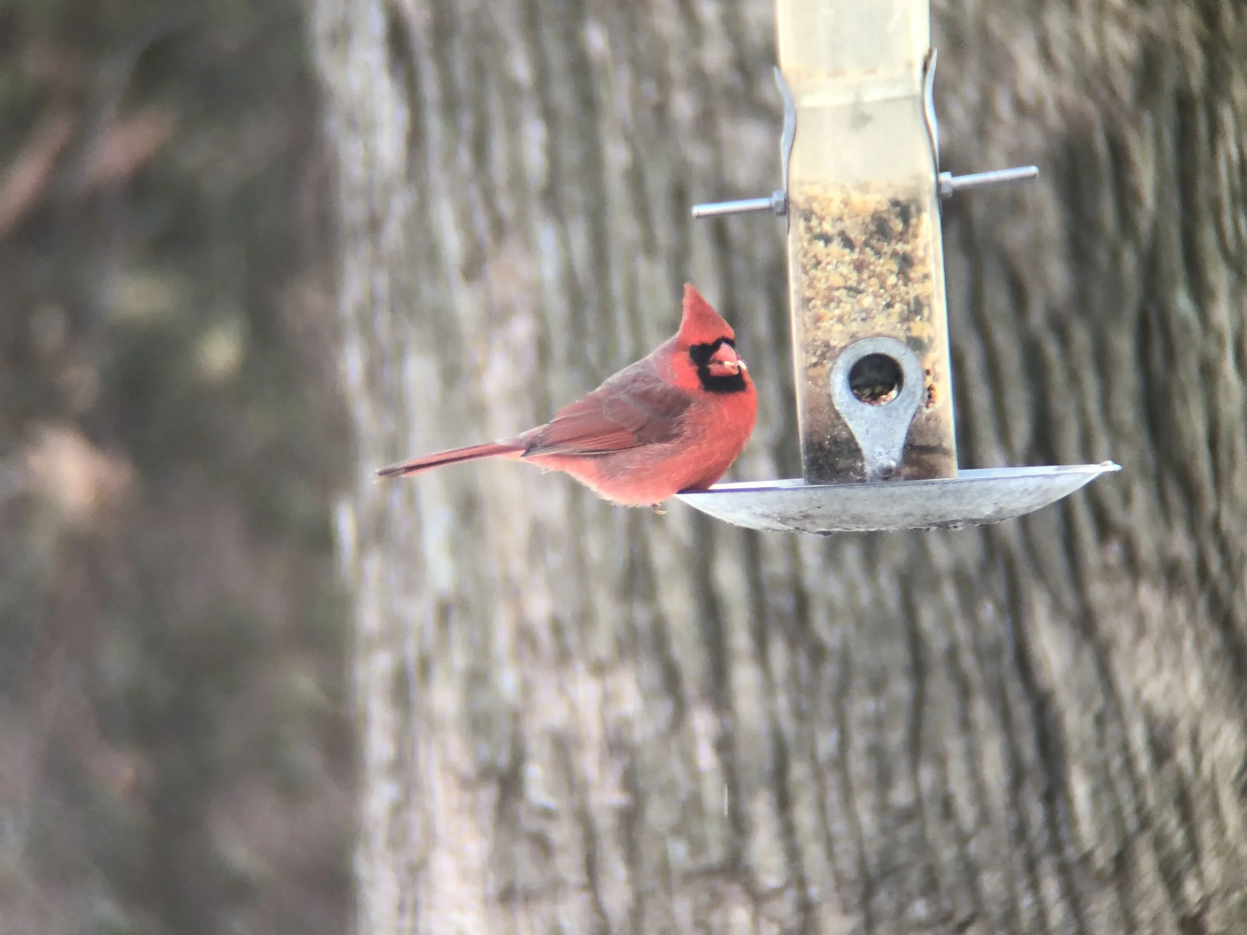 Ep 47: The Source and the Seed