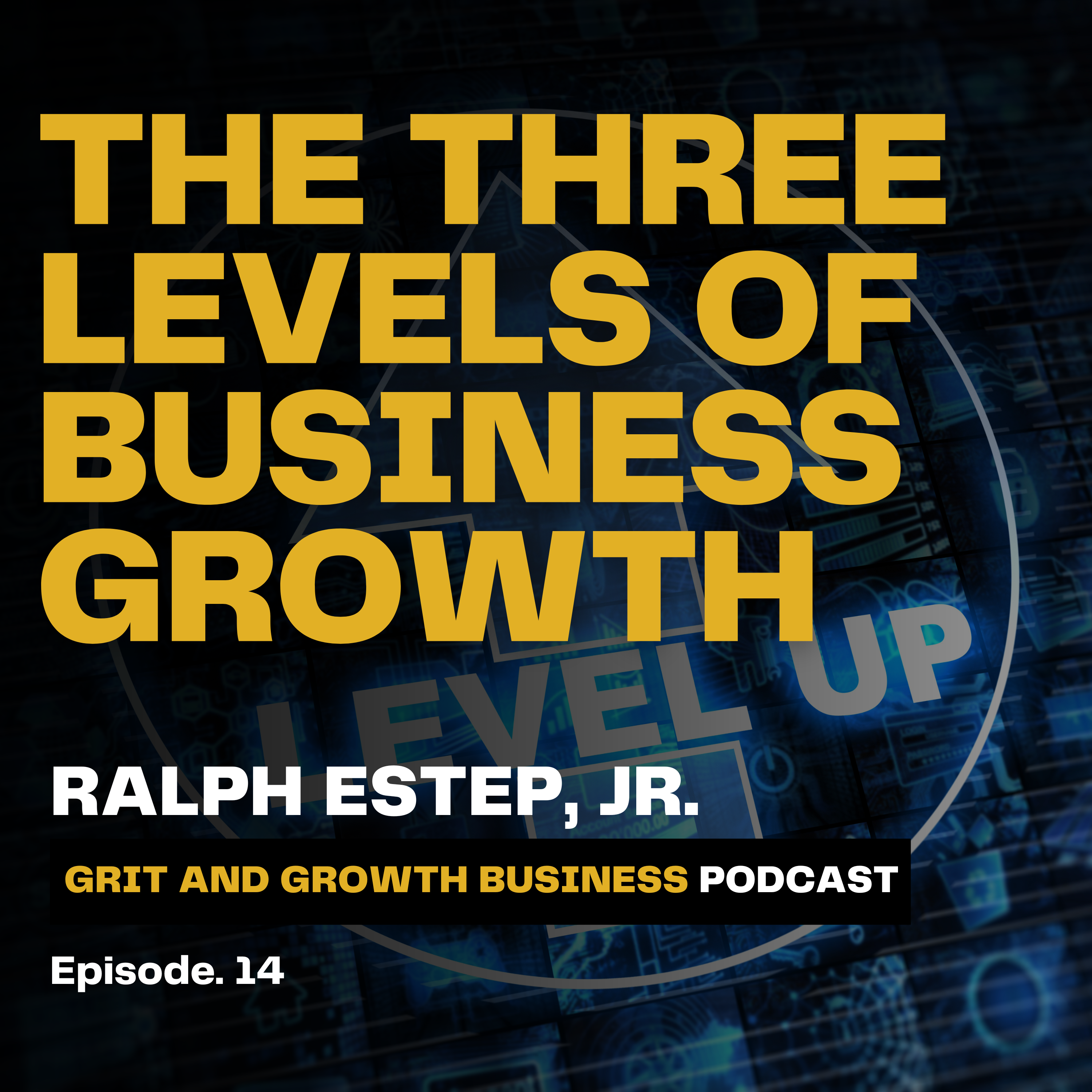 Climbing the Business Growth Ladder: A Strategic Journey Through Three Levels