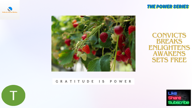 The Power Series: Gratitude is Power