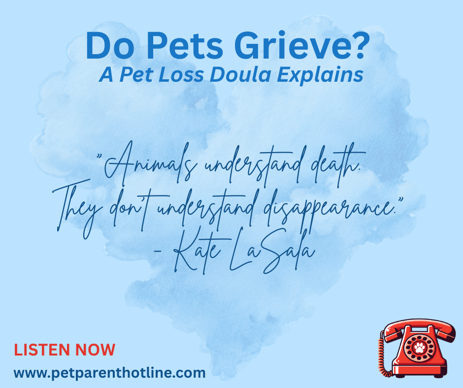 Disappearance vs. Death: Helping Pets Understand Loss in Multi-Pet Households Disappearance vs. Death: Helping Pets Understand Loss in Multi-Pet Households