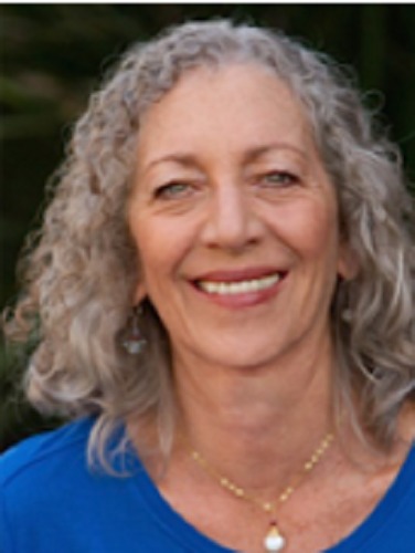 Family Systems Therapy for a Nation: Healing America's Divisions Family Systems Therapy for a Nation: Healing America's Divisions