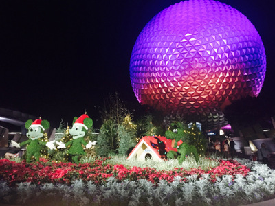 New Year's Eve at Walt Disney World, Part 2 New Year's Eve at Walt Disney World, Part 2