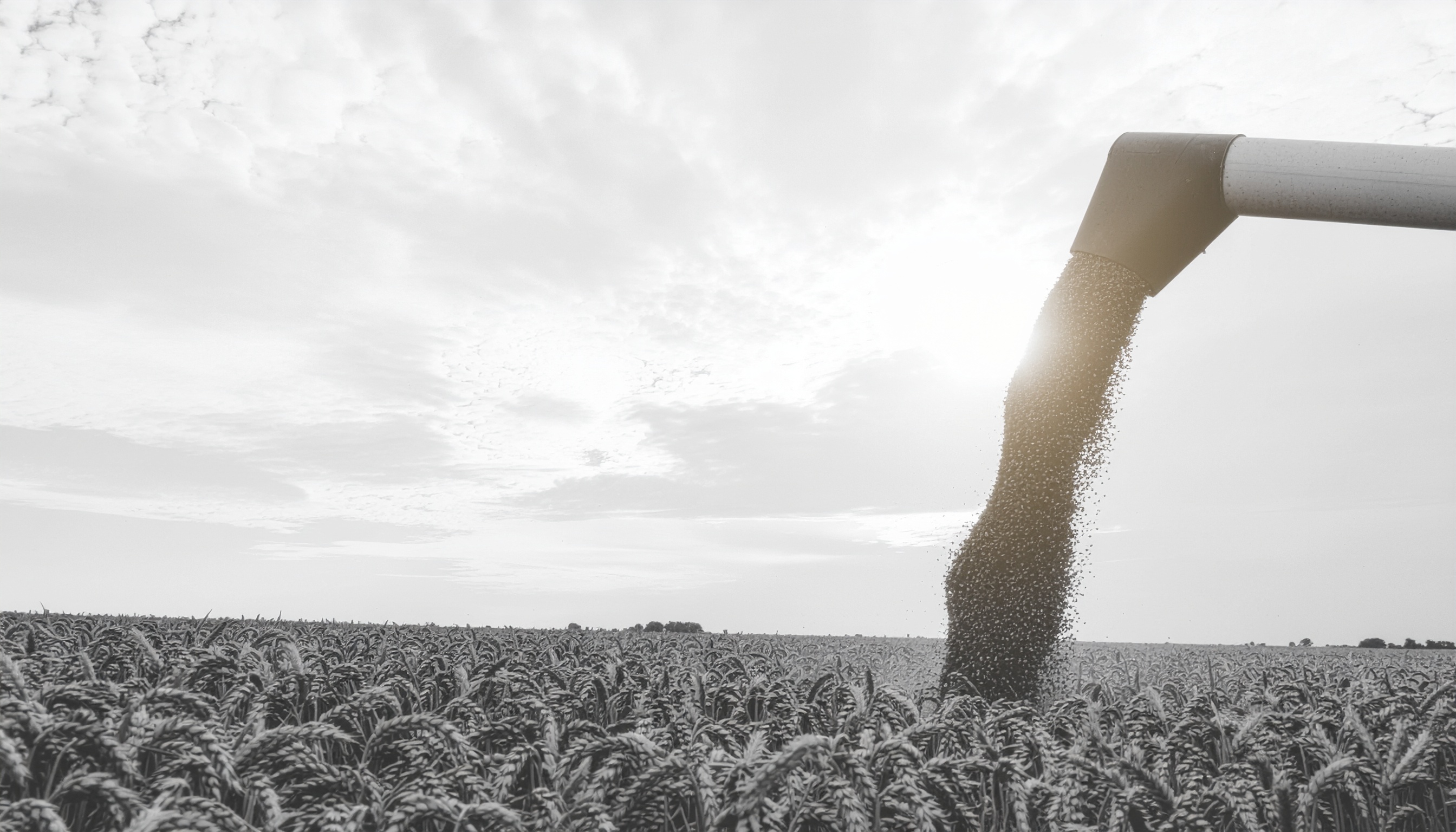 Was bedeutet "Long" oder "Short" gehen?