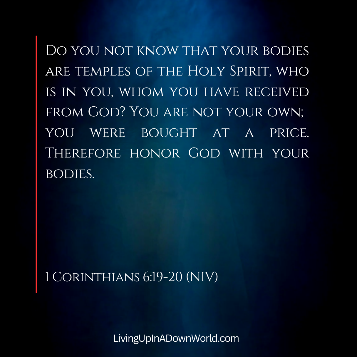 The Daily Grind ☕️ - The Temple of the Holy Spirit The Daily Grind ☕️ - The Temple of the Holy Spirit