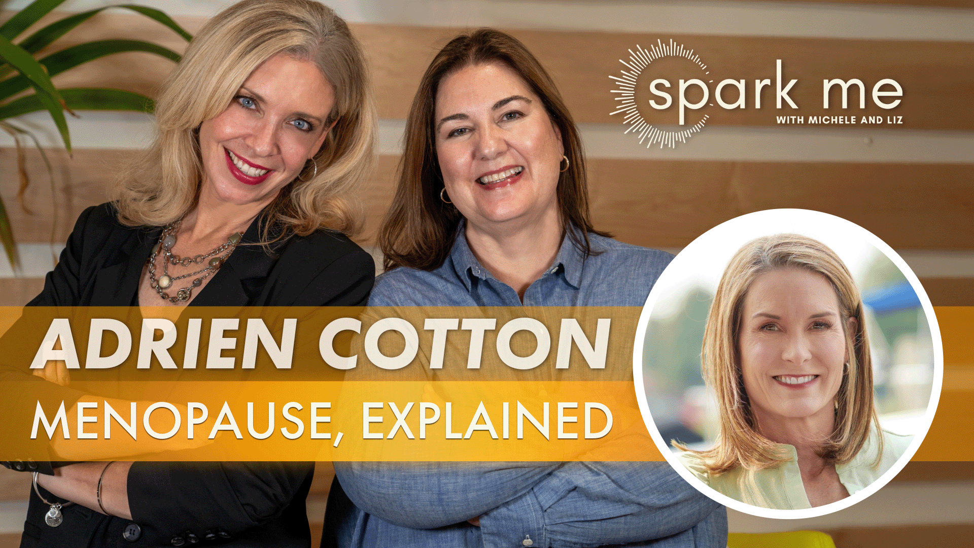 Menopause, Misunderstood: What Every Woman Needs to Know Menopause, Misunderstood: What Every Woman Needs to Know