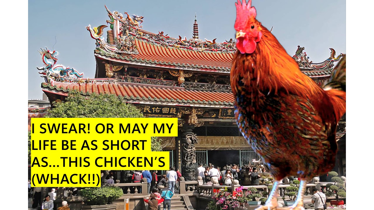 Swearing with Chickens, and other Taiwan Bird Adventures – S5-E31 Swearing with Chickens, and other Taiwan Bird Adventures – S5-E31