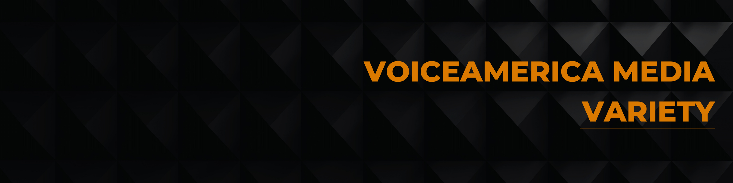 VoiceAmerica Media