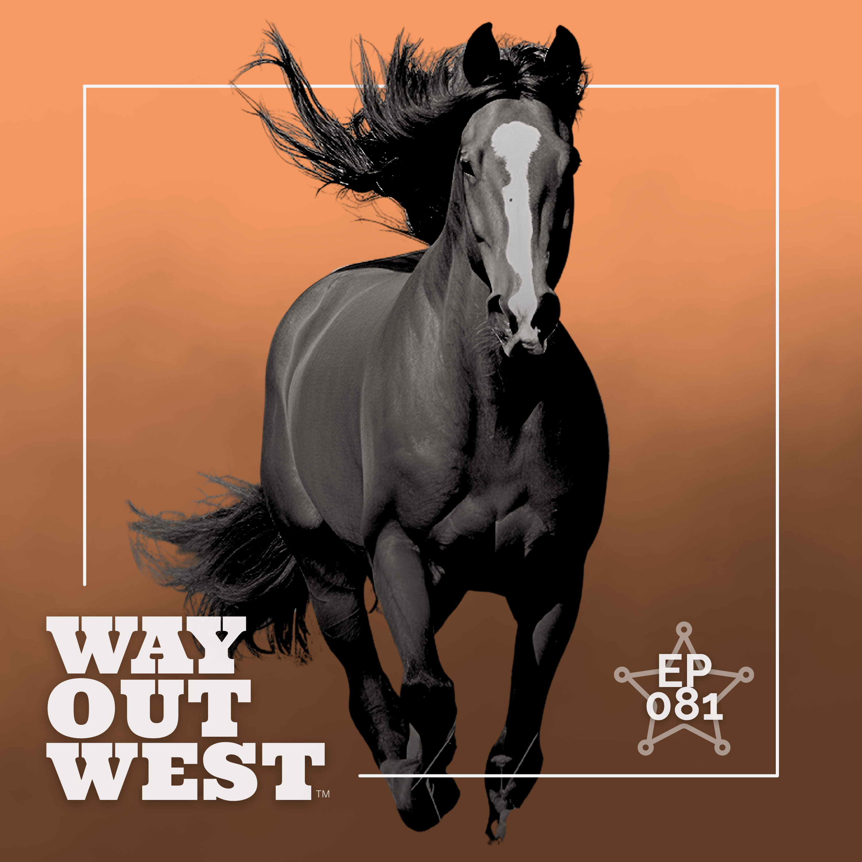 How the Horse Made the American West Possible