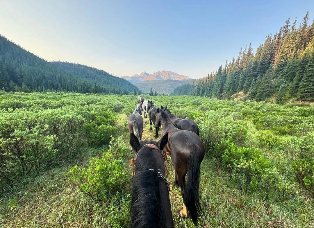 Ep 47- The Last Mountain Man (Feat. Monty Groat and Scott Sunderwald)