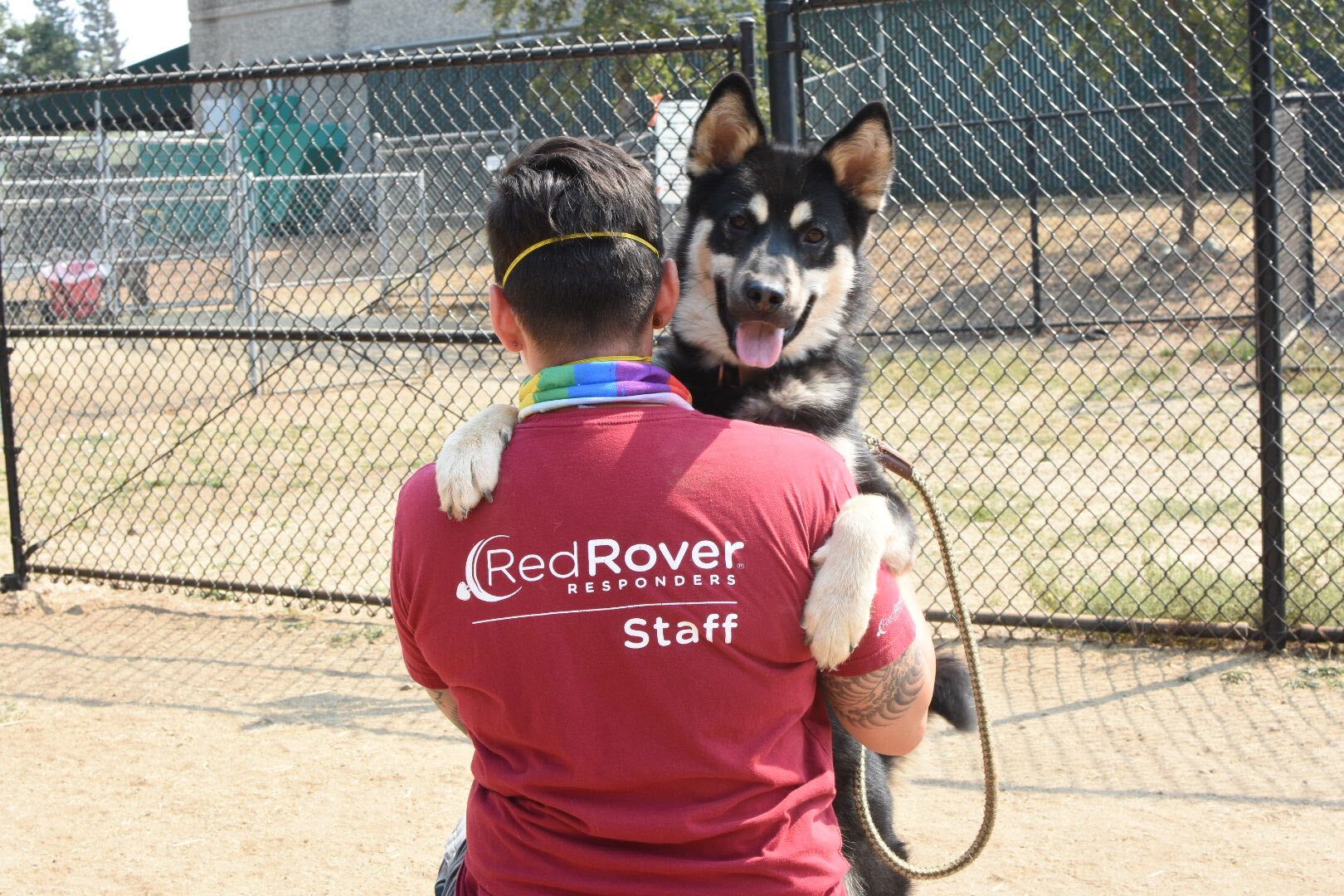 Katie Campbell Profile Photo