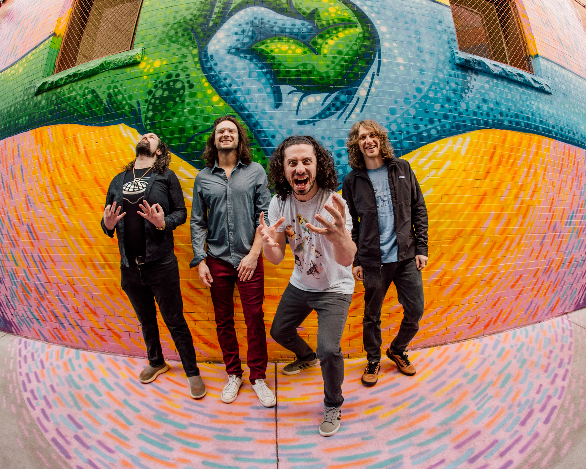 Pigeons Playing Ping Pong Profile Photo Pigeons Playing Ping Pong Profile Photo