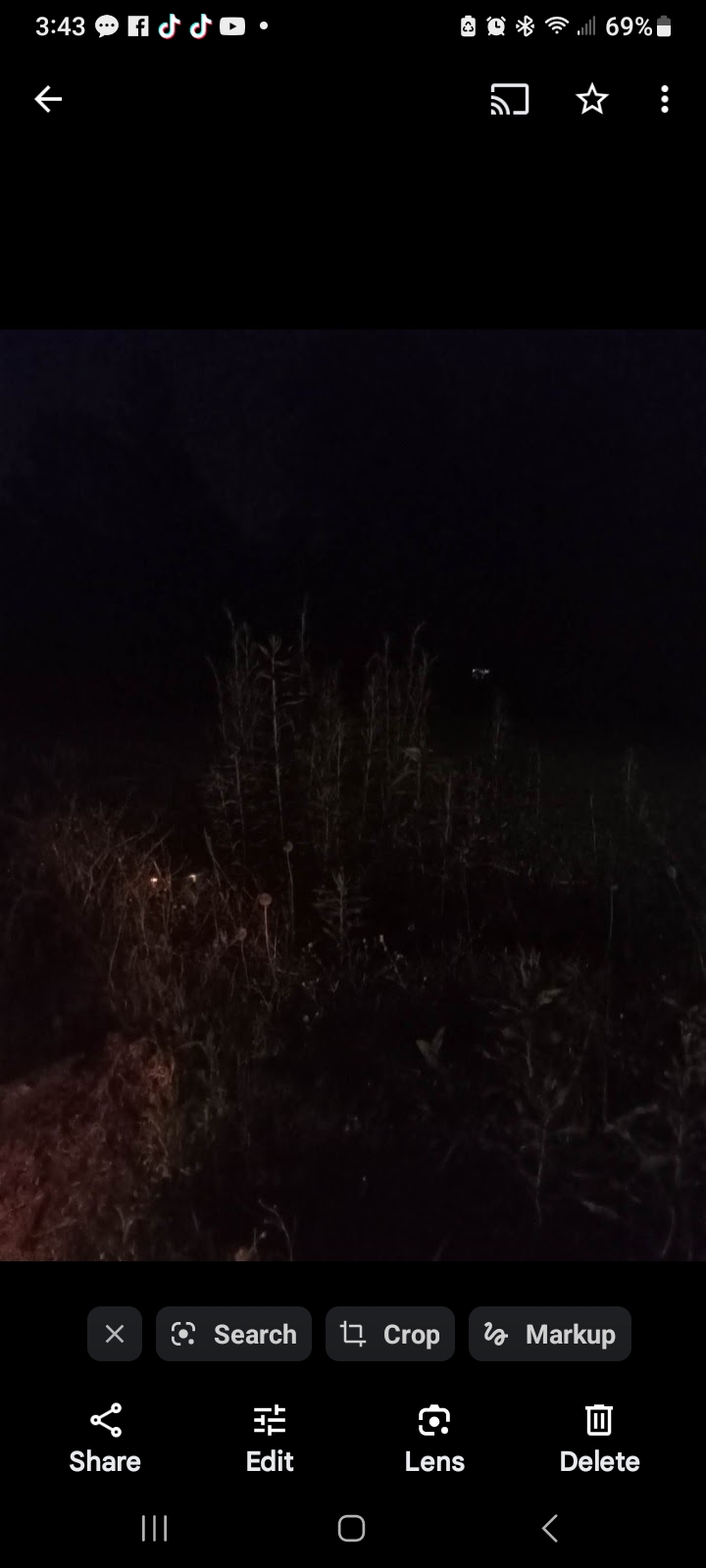 Joseph Flippo Profile Photo