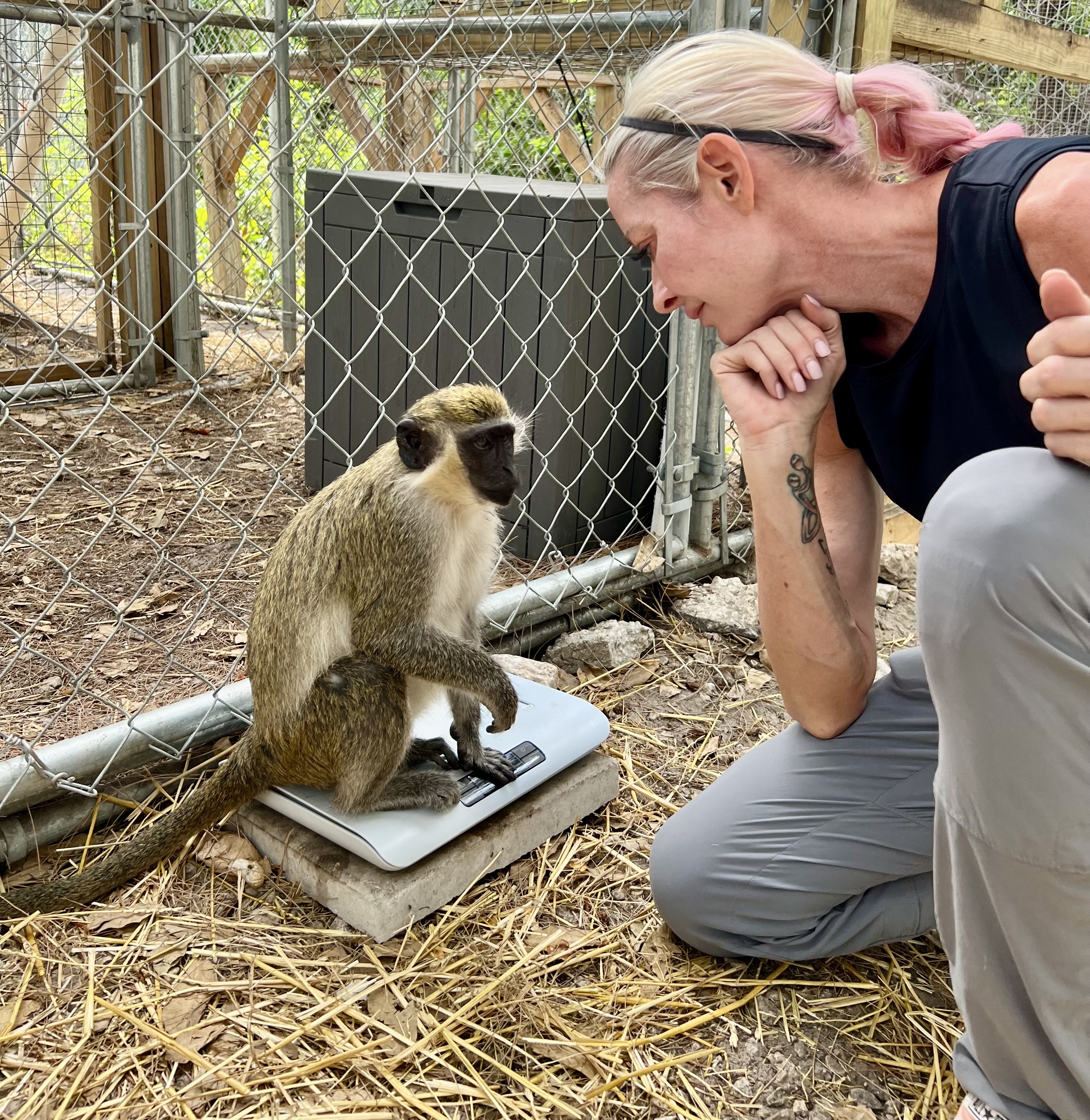 Missy Williams Profile Photo