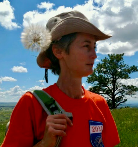 Anne Frey Profile Photo Anne Frey Profile Photo