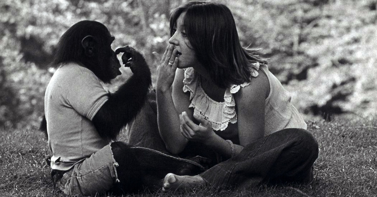 Midweek Mention... Project Nim