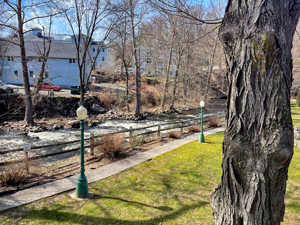 Cappuccino and Cinnamon Rolls at Sandy Hook Cafe: A Scenic Coffee Ride Story