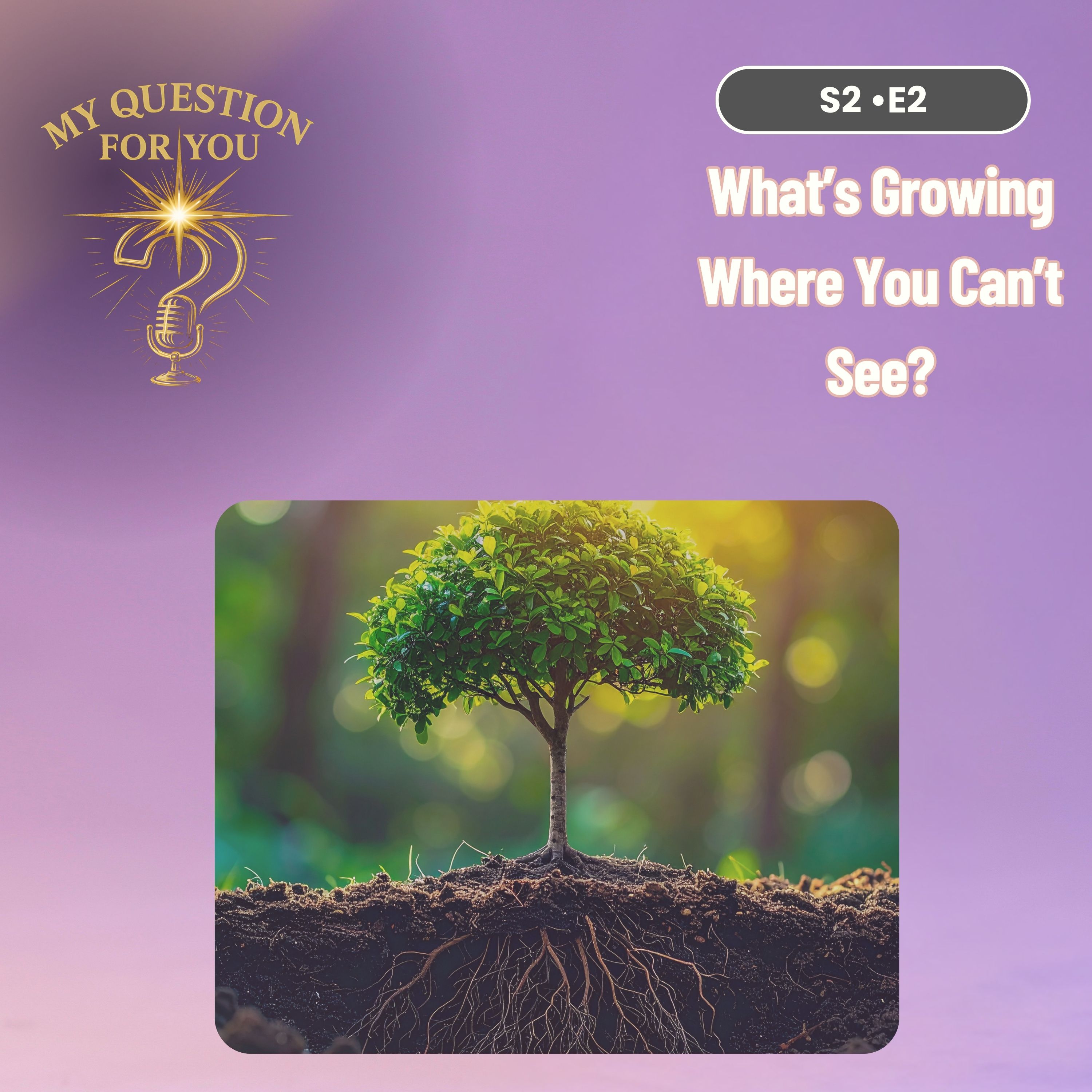 What’s Growing Where You Can’t See?
