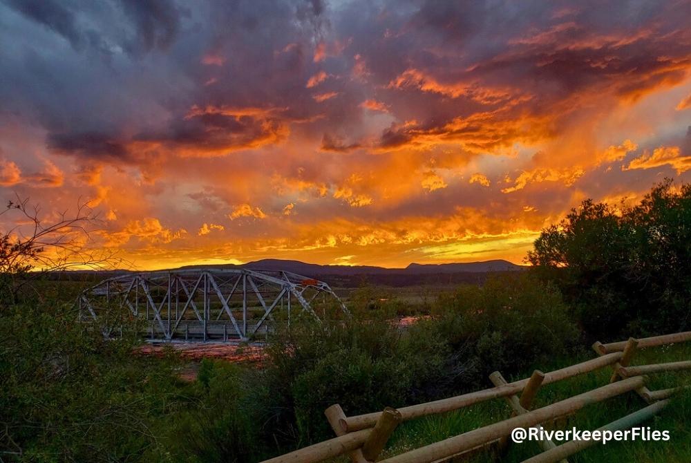 Hatch-Driven Dry Fly Fishing: Why Timing Is Everything in the American West