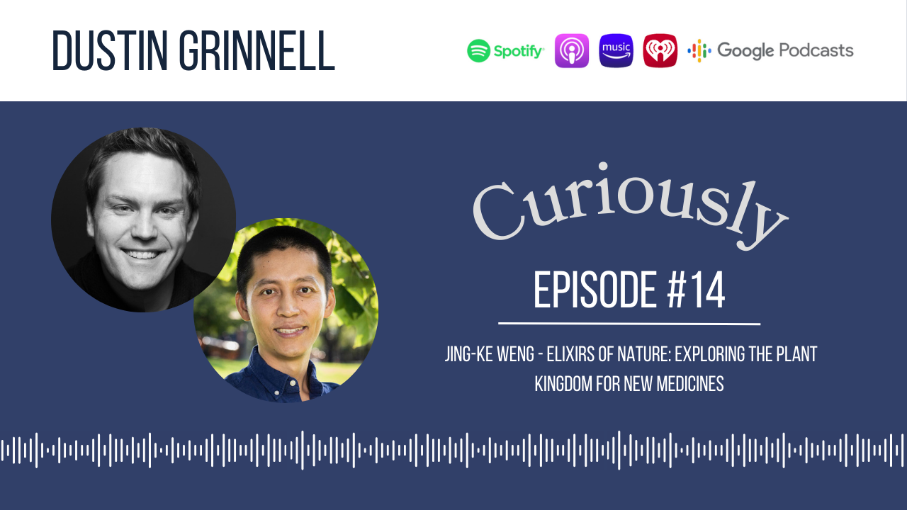 The Hidden Chemistry of Plants: How Nature’s Survival Strategies Became Our Medicine