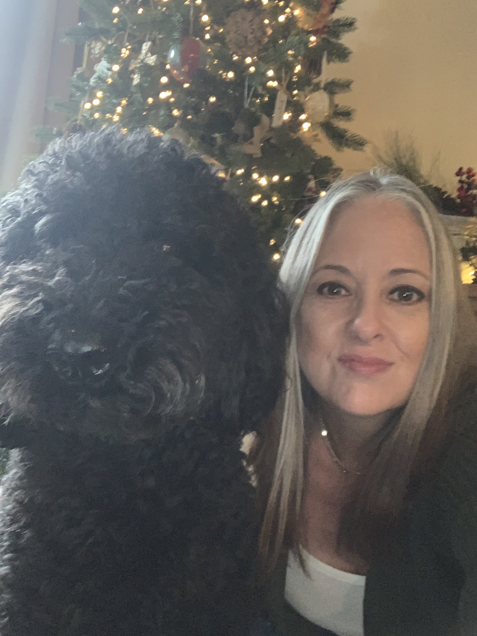 Dawn Gibler Profile Photo