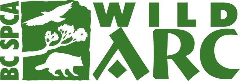 Penny and Joe’s Wild ARC Adventure: How to Help a Wild Friend in Trouble