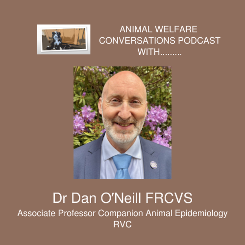 Dr Dan O’Neill MVB BSc(Hons) GPCert(SAP) GPCert(FelP) GPCert(Derm) GPCert(B&PS) PGCertVetEd FHEA MSc(VetEpi) PhD FRCVS Profile Photo