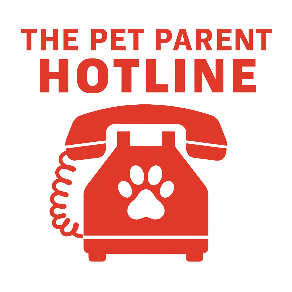 What’s Next for Pet Parents Who’ve Tried Everything? What’s Next for Pet Parents Who’ve Tried Everything?
