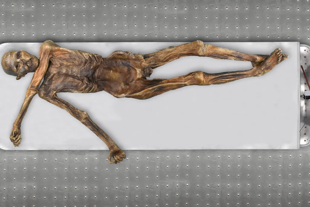 Brewing Bread from a 5,300-Year-Old Body: Ötzi, Ancient Yeast, and Corpse Medicine Reborn