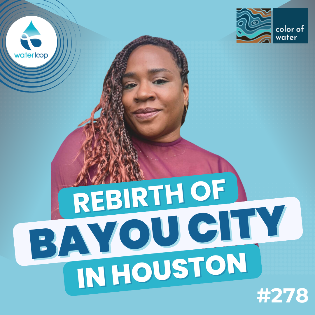 The Rebirth of Bayou City: Centering Water in Houston