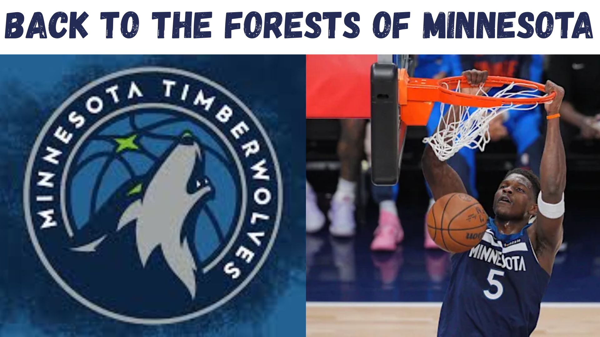 "Back To The Forests of Minnesota"