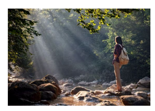 Restarting Passions After the Empty Nest:  Why It's Not too Late (Part 1)