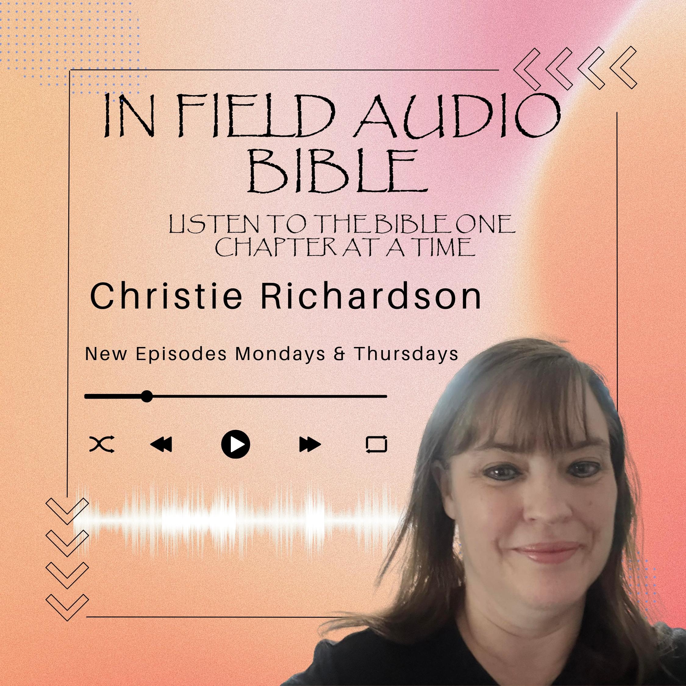 In the Field Audio Bible Logo