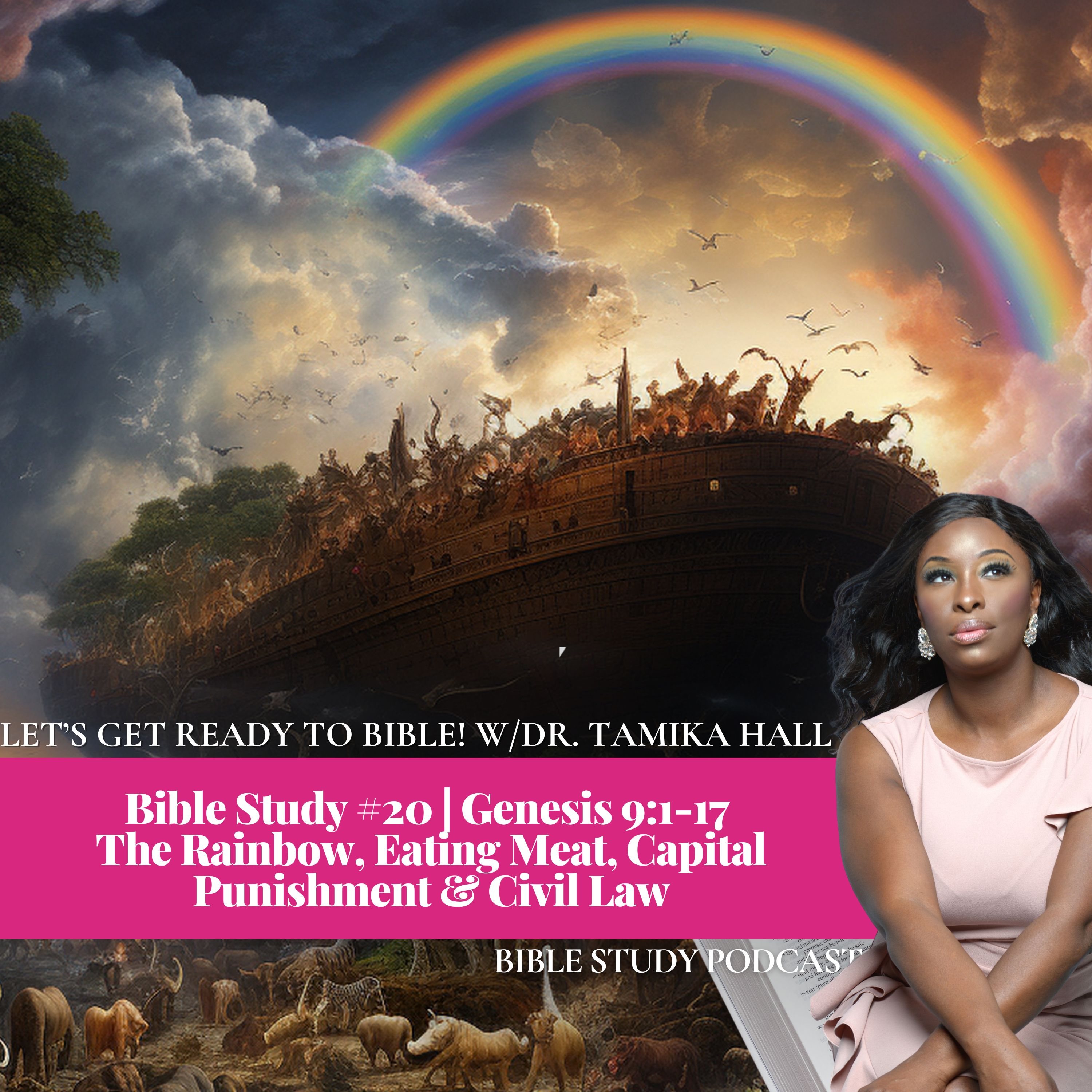 Bible Study #20 | Genesis 9:-17 | The Rainbow, Eating Meat, Capital Punishment & Civil Law