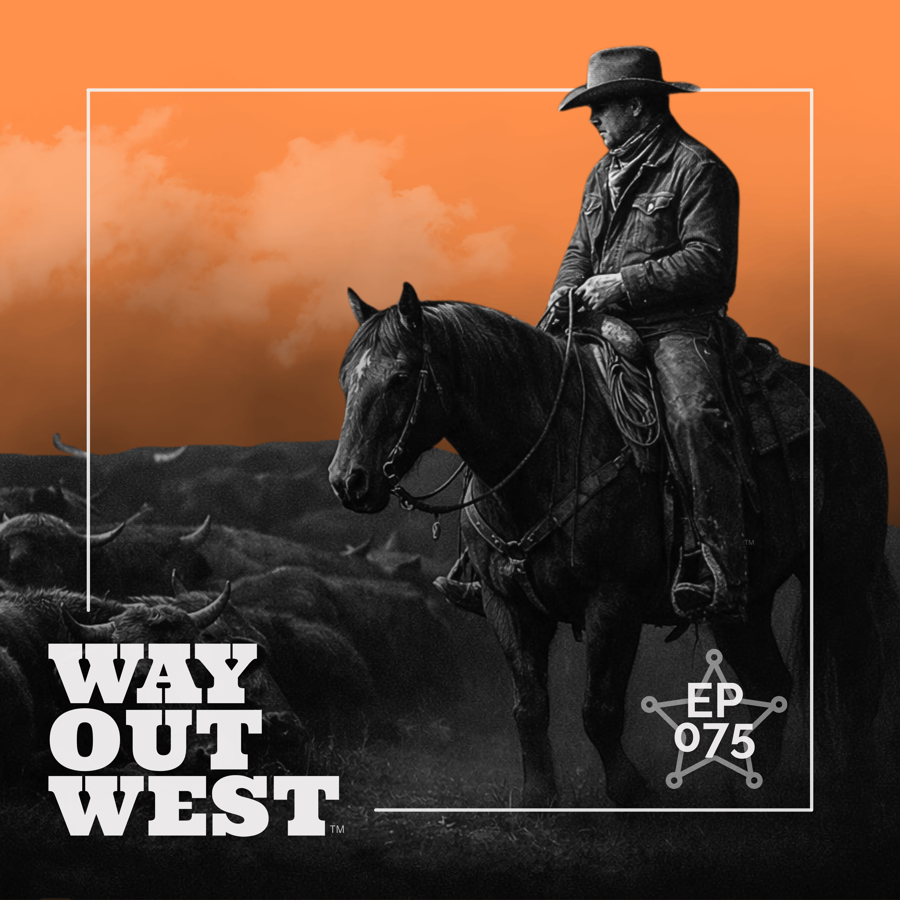 Riding Night Guard: Watching Cattle While the Rest of the World Sleeps