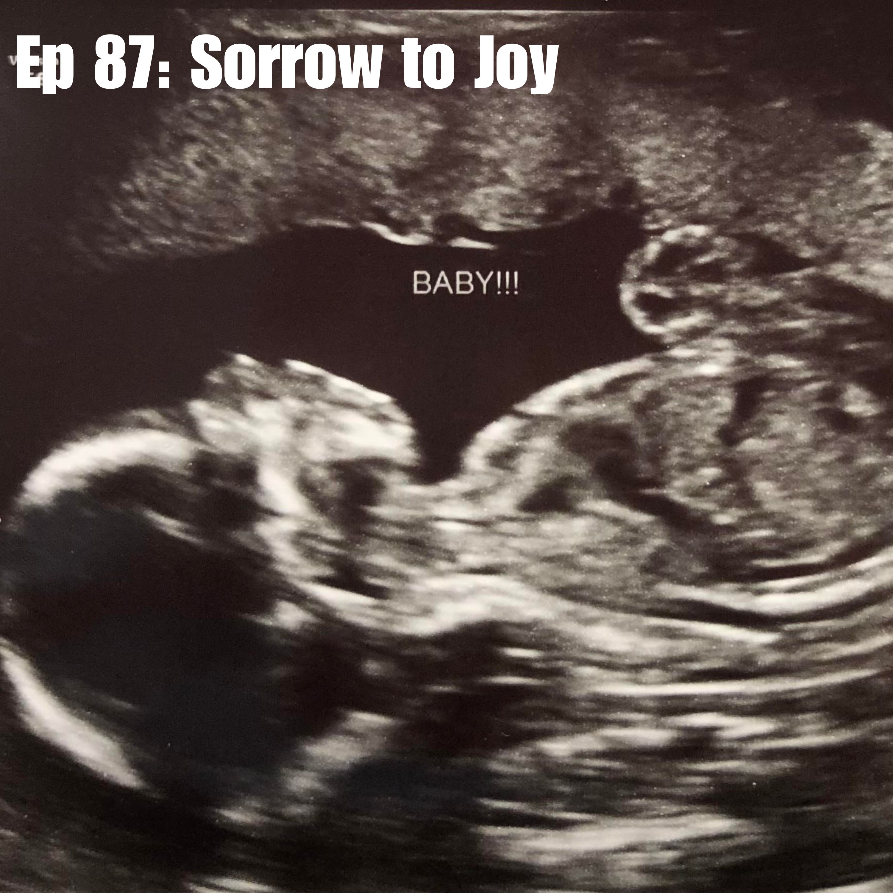 Ep 87: Sorrow to Joy (w/ Whitney Dalp)