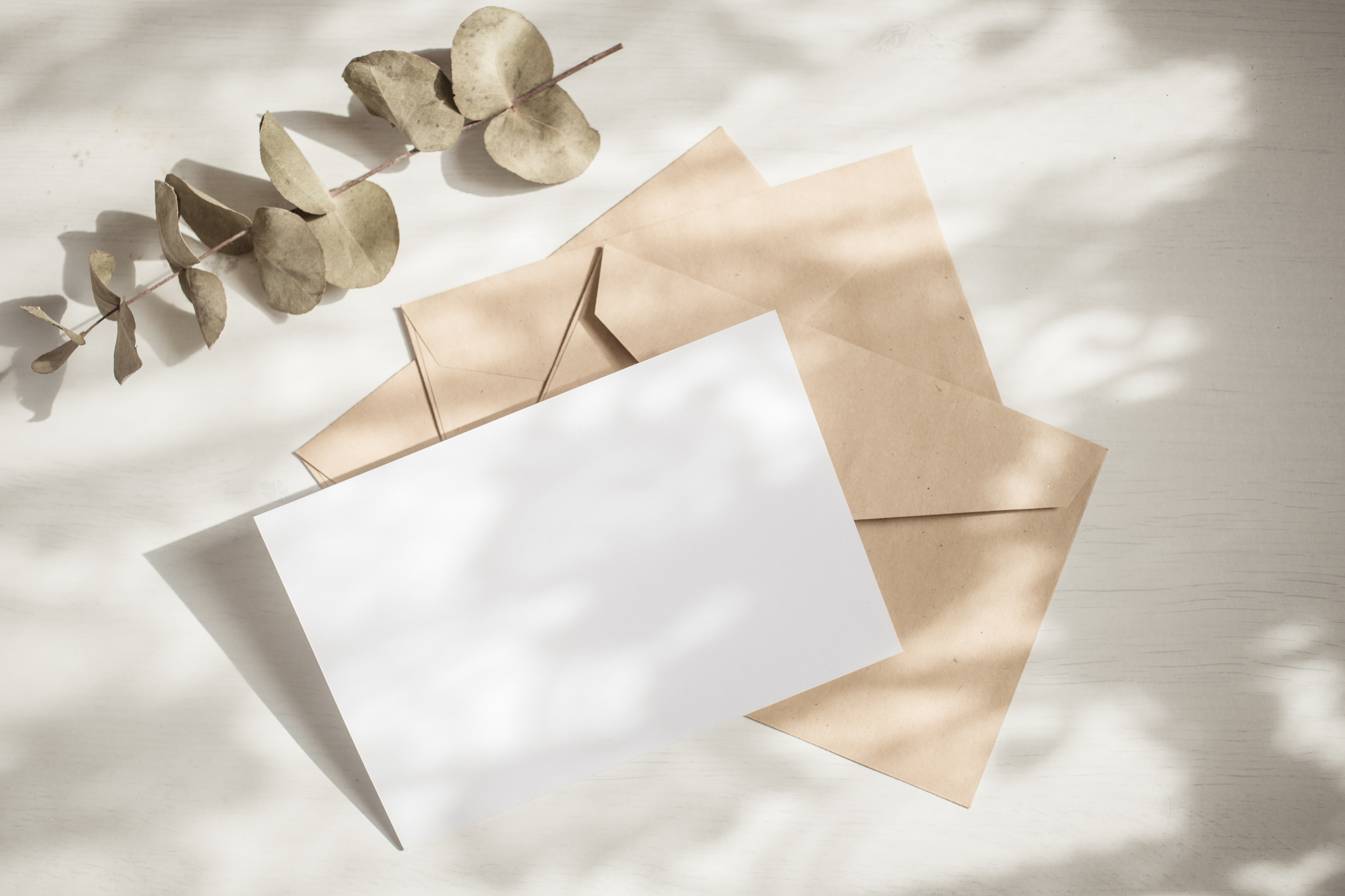 email capture banner