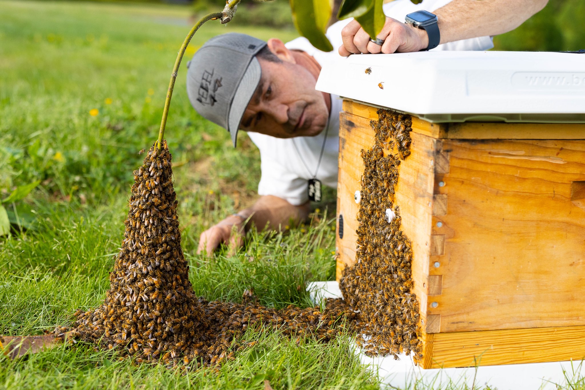 AJ Gardner Profile Photo