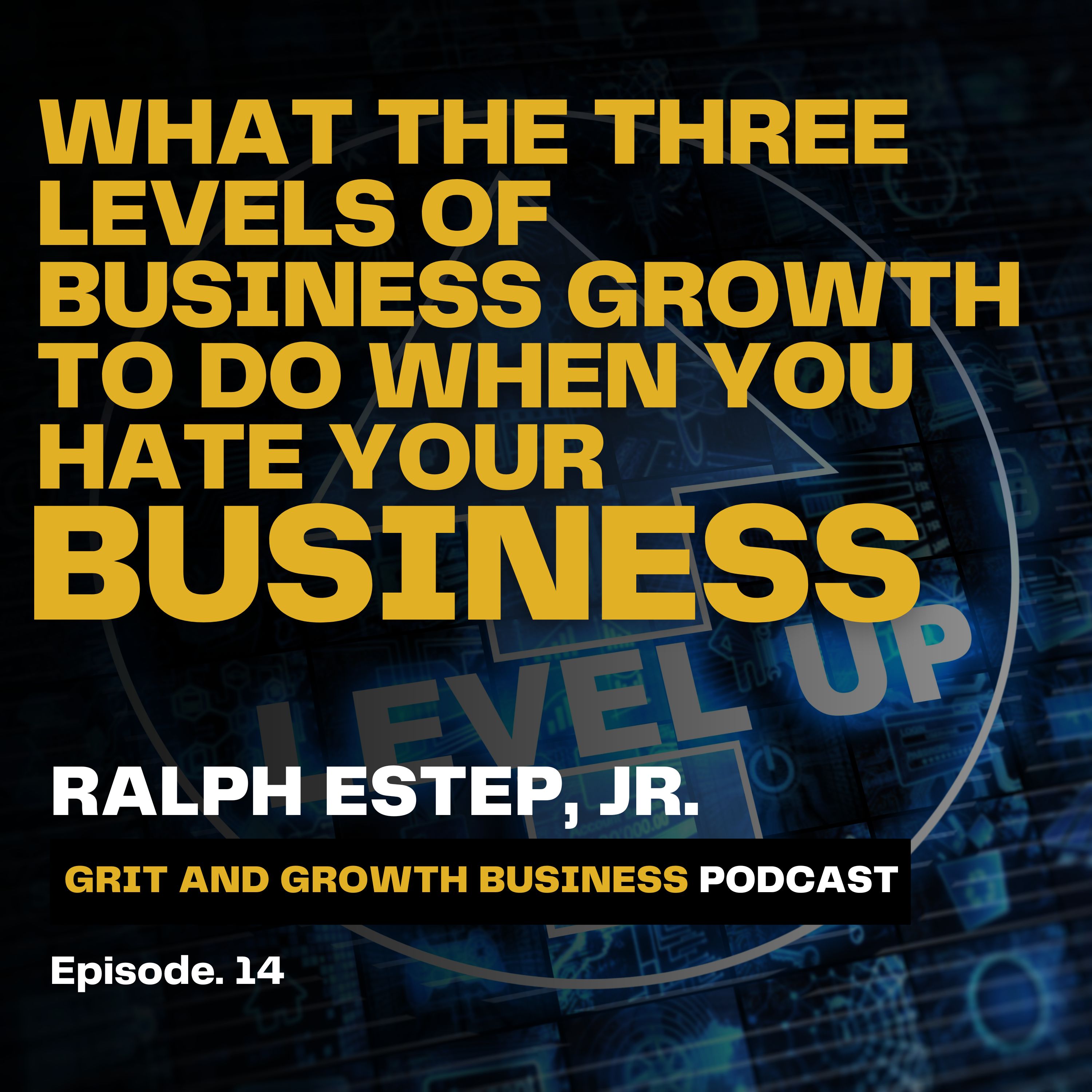 Climbing the Business Growth Ladder: A Strategic Journey Through Three Levels