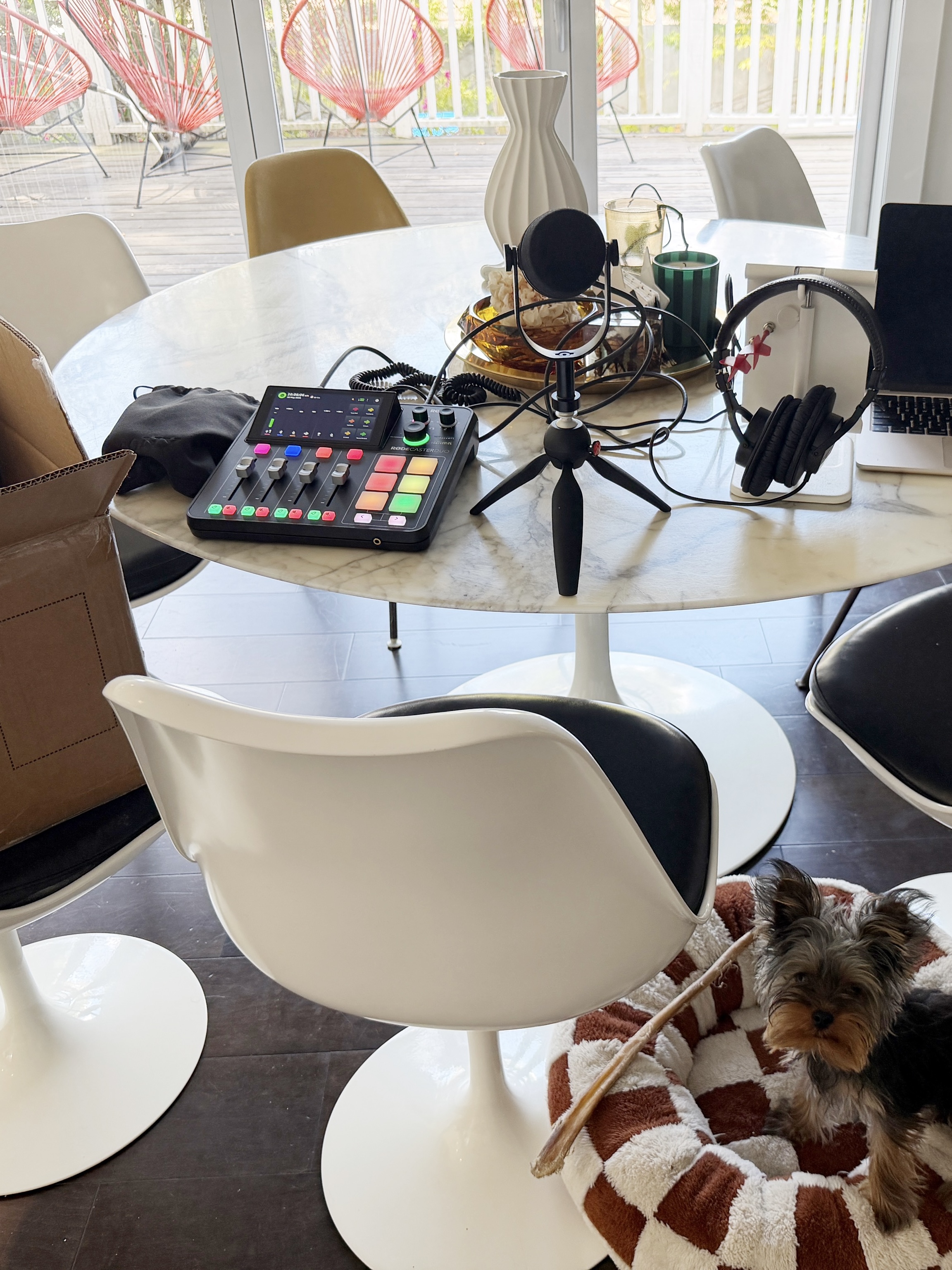Microphones Across the Table
