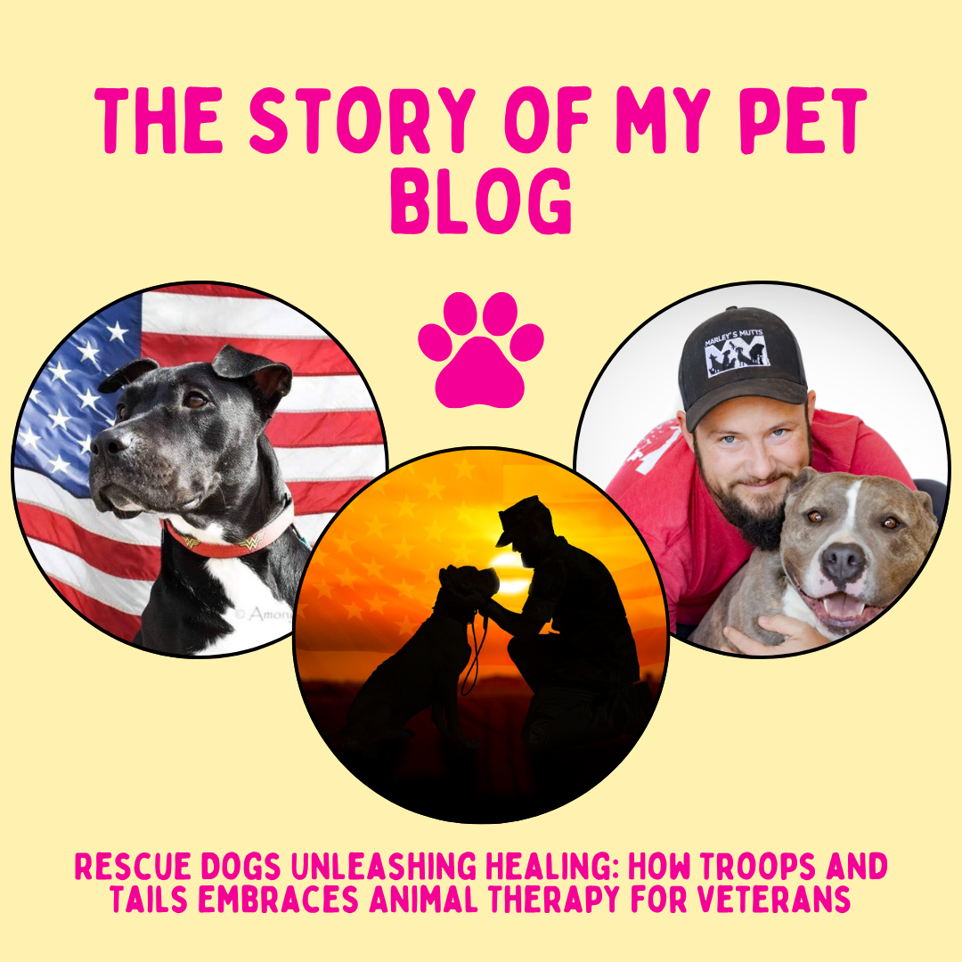 Rescue Dogs Unleashing Healing: How Troops and Tails Embraces Animal Therapy for Veterans Rescue Dogs Unleashing Healing: How Troops and Tails Embraces Animal Therapy for Veterans
