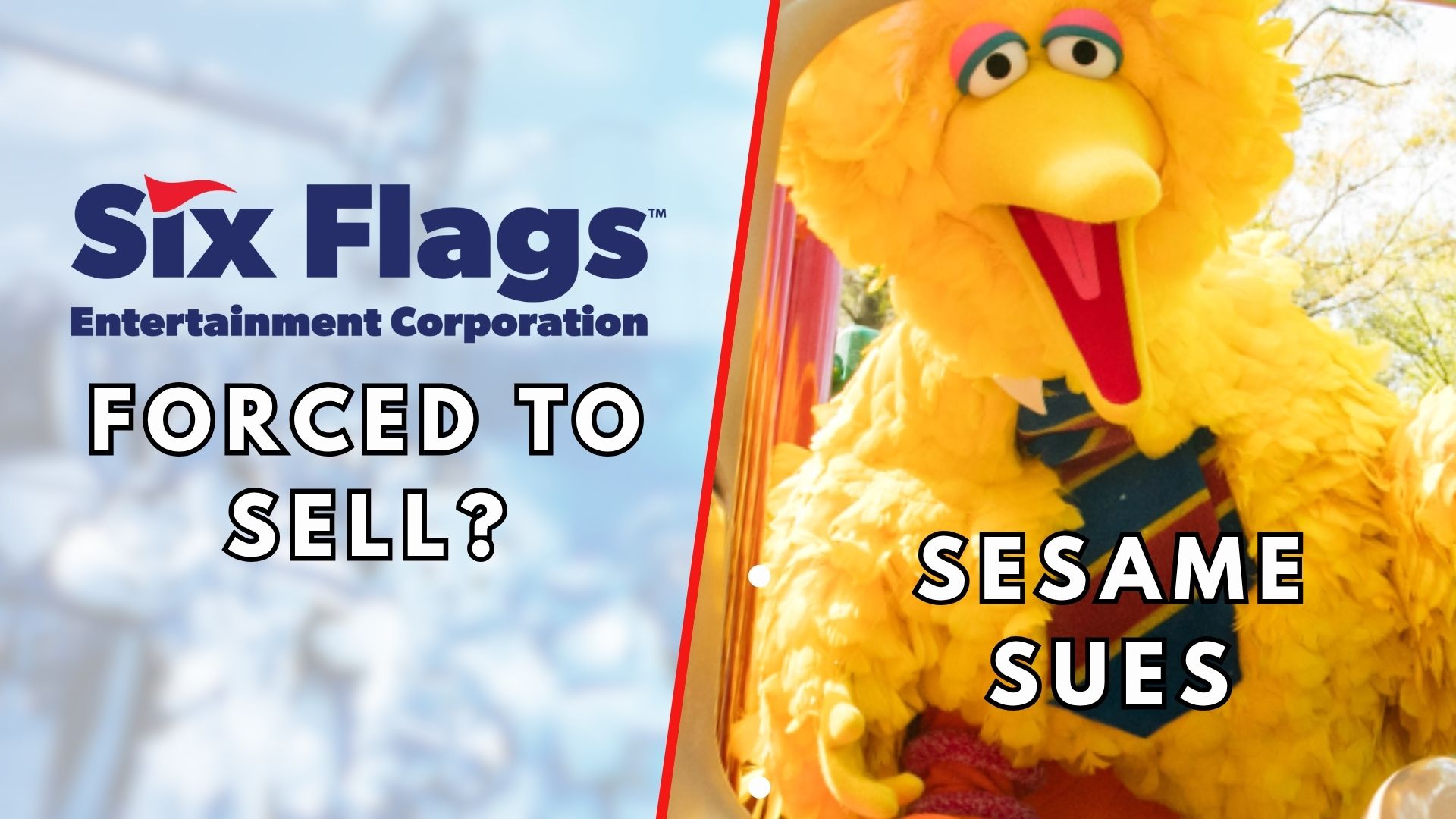 Six Flags Pushed to Sell | Sesame Sues SeaWorld