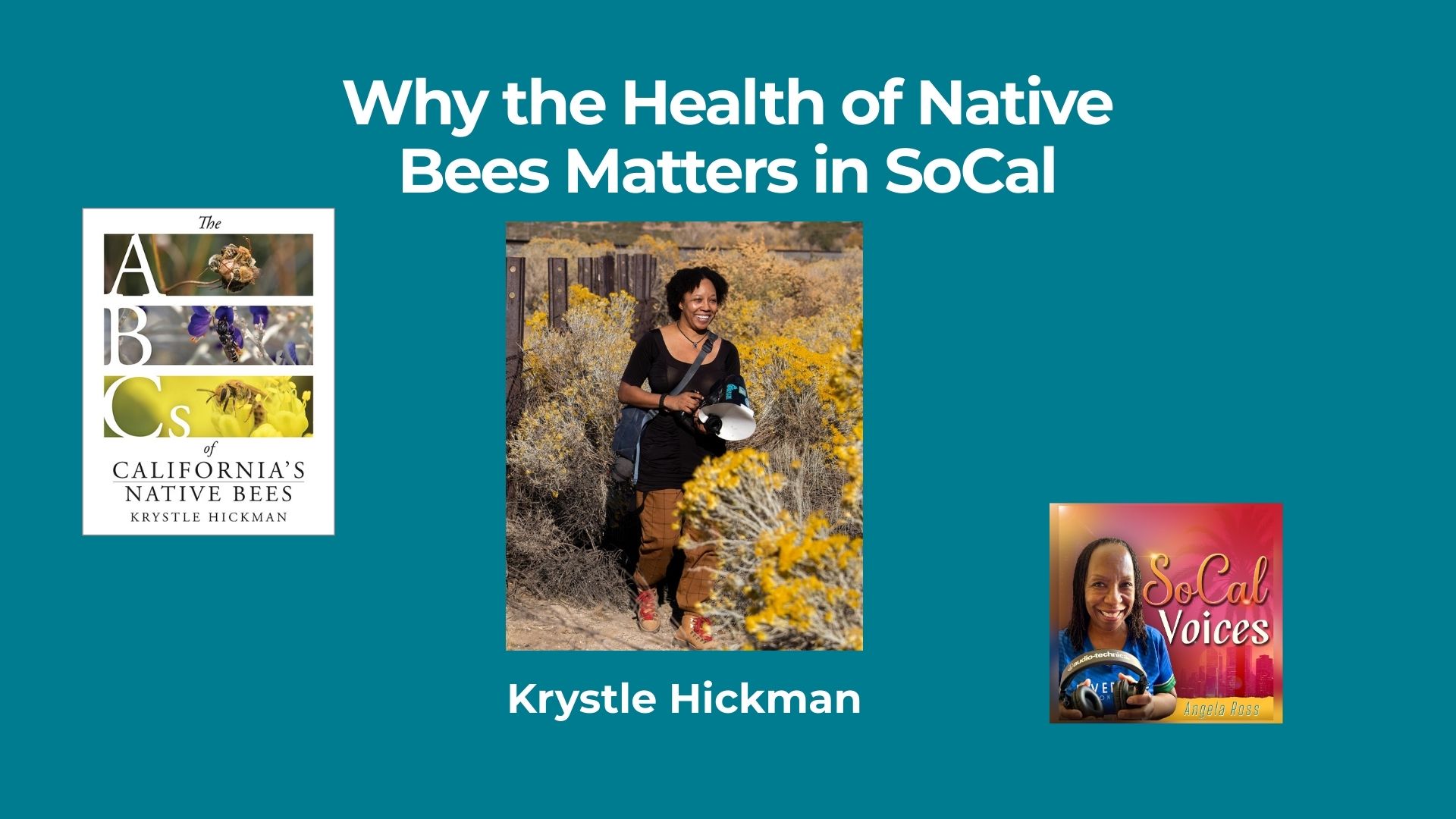 Why the Health of Native Bees Matters in SoCal