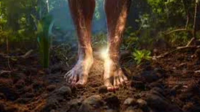 Your Body Is a Semiconductor – Start Acting Like It