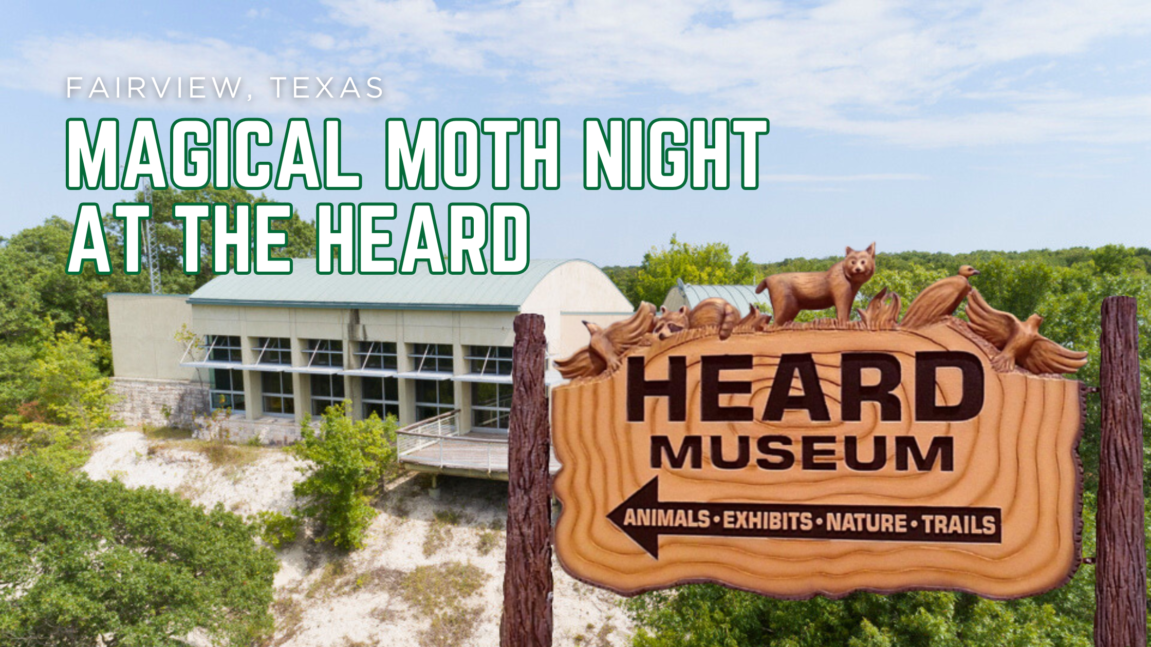 Step Into the Wild After Dark: Join Us for Magical Moth Night at the Heard on July 26