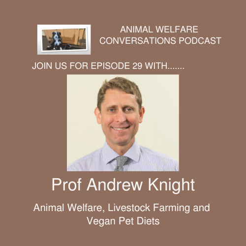 Professor Andrew Knight BVMS BSc PhD PFHEA DipECAWBM DipACAW MANZCVS FRCVS Profile Photo